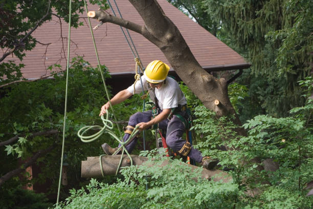 Mulching Services in Sheboygan Falls, WI